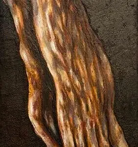 Tributum Durero