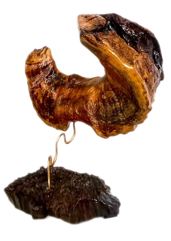 El péndulo